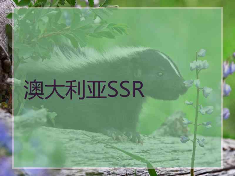 澳大利亚SSR