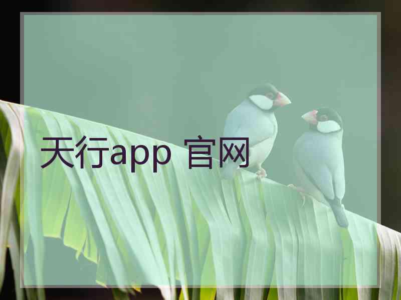 天行app 官网