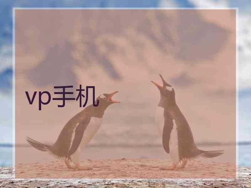 vp手机