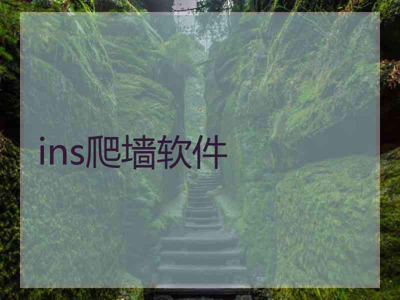 ins爬墙软件