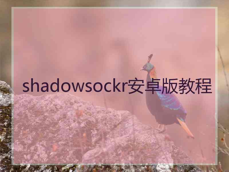 shadowsockr安卓版教程