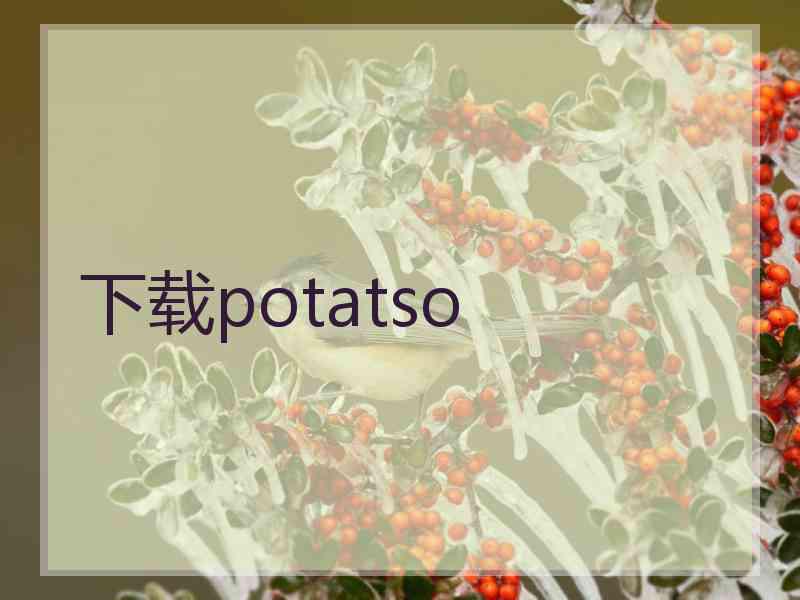 下载potatso