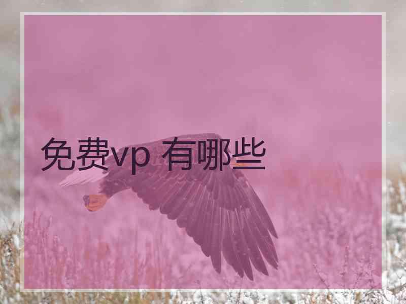 免费vp 有哪些