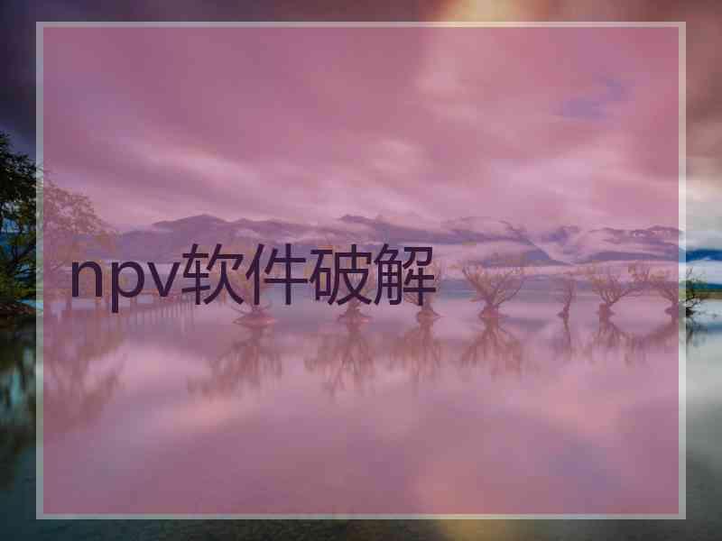 npv软件破解