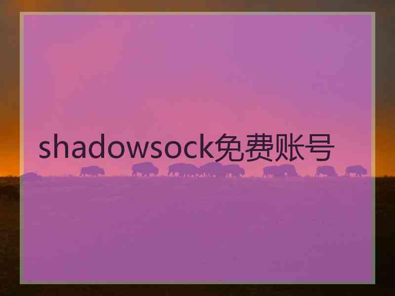 shadowsock免费账号