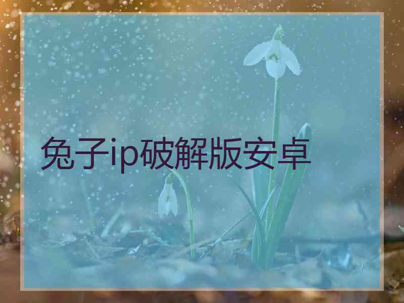 兔子ip破解版安卓